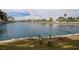 Peaceful lakefront view with geese in foreground and luxury homes with palm trees in background at 8132 Bay Harbor Dr, Las Vegas, NV 89128