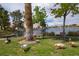 Picturesque lake view with lush green grass, mature trees, and ducks near a tranquil pond at 8132 Bay Harbor Dr, Las Vegas, NV 89128