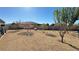 Expansive backyard featuring mature trees and landscaping at 4680 Suntree Ct, Pahrump, NV 89061