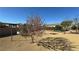 Landscaped backyard featuring a flowering tree providing shade on a sunny day at 4680 Suntree Ct, Pahrump, NV 89061