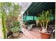 Charming covered patio with comfortable seating surrounded by lush plants and greenery at 5771 Ritter Ln, Las Vegas, NV 89118