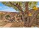 Private backyard featuring desert landscaping, a perimeter wall, and beautiful trees at 6405 Break Point Ave, Las Vegas, NV 89130