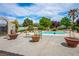 Resort-style backyard with a swimming pool, lush landscaping, and spacious patio areas for entertainment at 3101 Margarita St, Pahrump, NV 89048