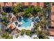 Aerial view of the community pool surrounded by palm trees and red tiled roofs with ample greenery at 5256 Harvest Breeze Rd, Las Vegas, NV 89118