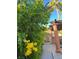 Lush, flowering bushes line the pathway, enhancing the backyard's tranquil ambiance at 2279 Pacini Ct, Henderson, NV 89052