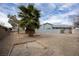 Xeriscaped backyard with mature palm tree and horseshoe pit at 904 Hibiscus Ct, Henderson, NV 89011