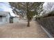 Spacious xeriscaped backyard featuring a mature tree at 904 Hibiscus Ct, Henderson, NV 89011