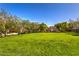 Expansive green lawn area with mature trees, ideal for recreation and relaxation at 9117 Careful Canvas Ave, Las Vegas, NV 89149