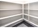 Walk-in pantry with ample shelving for storage and organization at 1027 Gentle Swan St # 689, Henderson, NV 89011