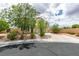 Attractive home with mature trees, nice landscaping, and a long driveway at 11769 Via Vera Cruz Ct, Las Vegas, NV 89138