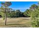 Beautiful golf course view with mature trees, providing a serene and picturesque landscape at 1317 Fox Acres Dr, Las Vegas, NV 89134