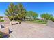 A community park features a grassy field, a walking path, trees, and park benches at 2037 Brush Stroke St, Henderson, NV 89044