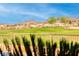 Scenic view of the golf course near residential houses at 2872 Sumter Valley Cir, Henderson, NV 89052