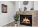 Close-up of a decorative fireplace with plants and elegant design at 537 Blanche Ct, Henderson, NV 89052