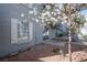 Outdoor patio area with a blooming tree providing shade at 3823 S Maryland Pkwy # L6, Las Vegas, NV 89119
