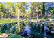 Scenic pond surrounded by lush landscaping, creating a tranquil and picturesque view at 6923 Emerald Springs Ln, Las Vegas, NV 89113