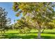 Beautifully landscaped grounds showcasing mature trees, lush greenery, and scenic views at 746 Oakmont Ave # 708, Las Vegas, NV 89109