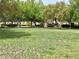 Lush green common area with mature trees and well-maintained lawn, ideal for community gatherings at 8477 Orly Ave, Las Vegas, NV 89143