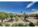 A neighborhood view with a variety of trees under a blue sky at 4129 Fabulous Finches Ave, North Las Vegas, NV 89084