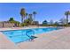 Outdoor community pool area with palm trees and plenty of lounge seating at 4780 Lorenzo Way, Pahrump, NV 89061