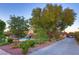 Landscaped backyard with a pool and mature trees at 3132 El Camino Rd, Las Vegas, NV 89146