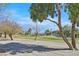 Scenic view of the golf course, surrounded by mature trees and clear blue skies at 4932 Forest Oaks Dr, Las Vegas, NV 89149