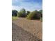 Scenic backyard landscape with well-maintained plants and gravel ground cover, providing a tranquil setting at 9731 Addie Meadow Ct, Las Vegas, NV 89149