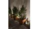 Atmospheric backyard lighting enhances the planter boxes and desertscape of this inviting outdoor living area at 1027 Brilliant Meadow Ave, North Las Vegas, NV 89086