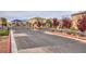 View of the gated entrance to the community with manicured landscaping and mature trees at 10376 Sadie Blake Ave, Las Vegas, NV 89166
