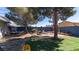 Spacious backyard with trees, a brick patio, wooden fence, and room for outdoor activities at 1908 Hassett Ave, Las Vegas, NV 89104