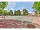 Community basketball court with multiple hoops and well-maintained surface at 672 Hitchen Post Dr, Henderson, NV 89011