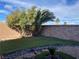 A well kept, modern backyard features mature trees and artificial turf at 953 Via Gandalfi, Henderson, NV 89011