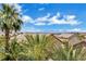 A beautiful view of the Las Vegas valley and surrounding mountains, seen through lush palm trees at 3088 Via Flaminia Ct, Henderson, NV 89052