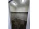 Spacious walk-in closet with carpet and shelves for organization at 5937 Armide St, North Las Vegas, NV 89081