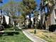 Scenic walkway through the well-maintained grounds with grass, mature trees and condo buildings at 6250 W Flamingo Rd # 143, Las Vegas, NV 89103