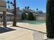 Exterior view of a community pool area with palm trees and a glimpse of condo buildings in the background at 6250 W Flamingo Rd # 143, Las Vegas, NV 89103