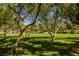 Expansive park with lush green grass and mature shade trees for relaxing and recreation at 7649 Calico Fields St, Las Vegas, NV 89149
