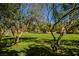 The beautiful park offers mature shade trees and green grass for outdoor enjoyment at 7649 Calico Fields St, Las Vegas, NV 89149