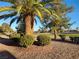 Well-maintained landscaping featuring a palm tree and view of the golf course at 9937 Villa Ridge Dr, Las Vegas, NV 89134