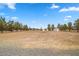 Large lot with desert landscaping featuring outbuildings with red trim at 1160 Huracan St, Pahrump, NV 89048