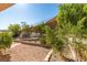 Backyard featuring desert landscaping with block retaining walls, various trees and vegetation at 2037 Poppywood Ave, Henderson, NV 89012