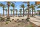 Resort-style community pool is surrounded by swaying palm trees, lounge chairs, and manicured landscaping at 243 Sun Glaze Ave, Henderson, NV 89011
