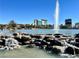 Landscaped water feature and fountain with buildings and blue sky in the background at 3520 Kittiwake Rd, North Las Vegas, NV 89084