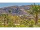 Beautiful desert landscape with a small bridge under a mountain range and lush palm trees at 39 Strada Fontana, Henderson, NV 89011