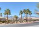 A charming neighborhood street with palm trees and well-maintained landscaping offers a welcoming atmosphere at , Las Vegas, NV 89130