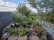 Backyard water feature with garden surrounded by lush plants and trees at 388 Coronado Dr, Henderson, NV 89015