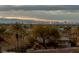 Enjoy this beautiful home with stunning city views, surrounded by palm trees and desert landscape at 505 Dragon Gate Ct, Henderson, NV 89012