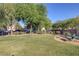 Lush green park with picnic tables, offering a serene outdoor space for relaxation and community gatherings at 5081 Pine Mountain Ave, Las Vegas, NV 89139