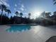 Community pool surrounded by tall palm trees and lounge chairs at 8250 N Grand Canyon Dr # 2085, Las Vegas, NV 89166