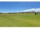 Community sports field featuring open green space for soccer, football, and other outdoor activities at 10172 Bismarck Palms Ave, Las Vegas, NV 89166